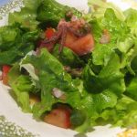 salata od liganja 650×489 013
